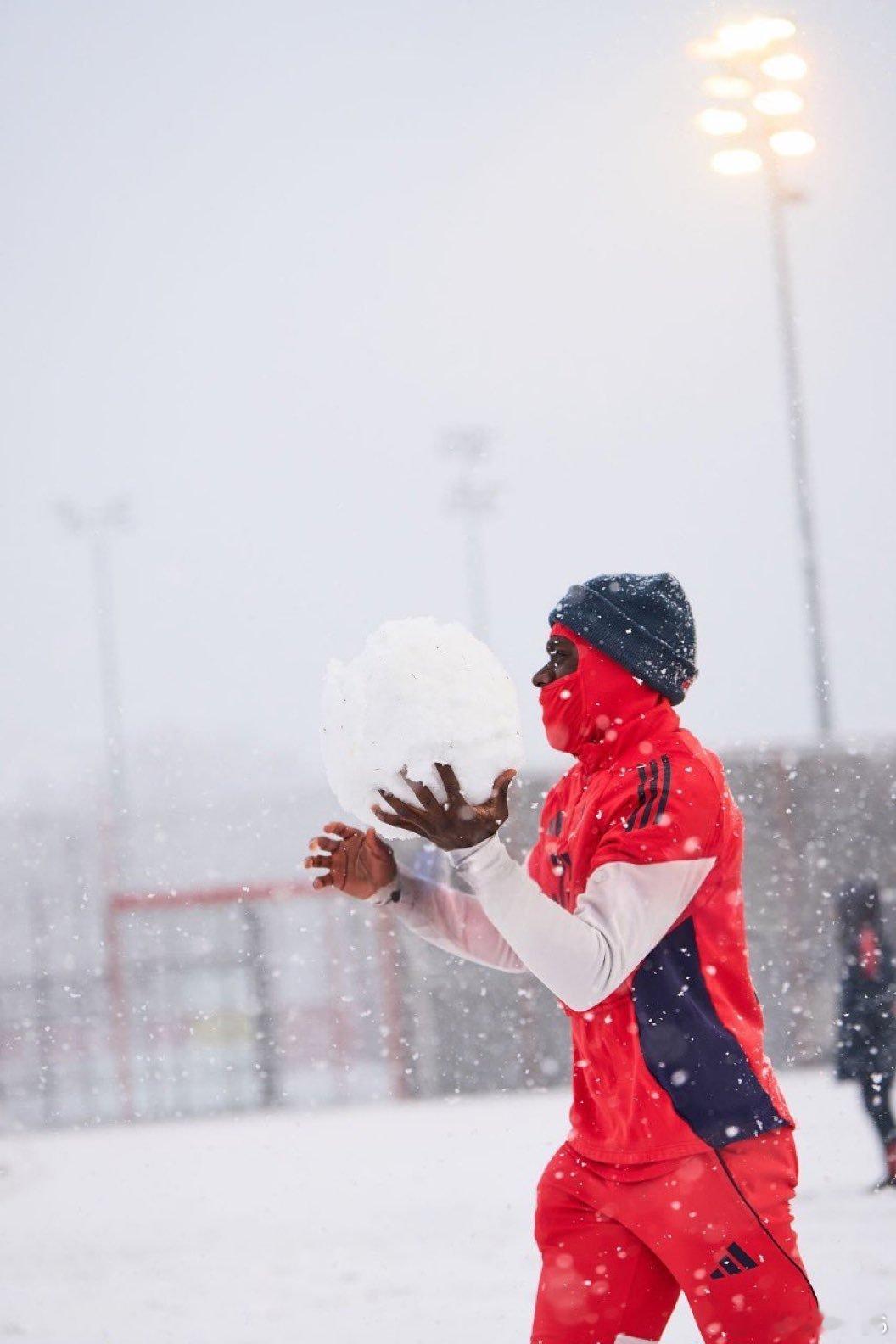 🚨雪中快樂的阿方索❤️🤍❄️🇨🇦 