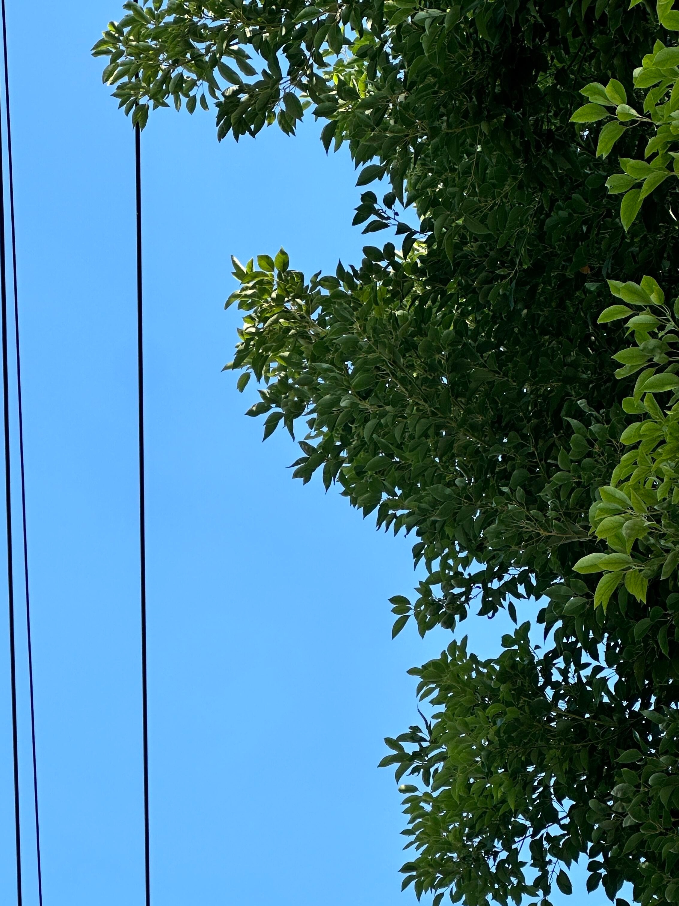 🍛•ᴗ•🥄随心即是满分 ᵒᵒᵒᵒᵒᵏ.ᐟ.ᐟ 