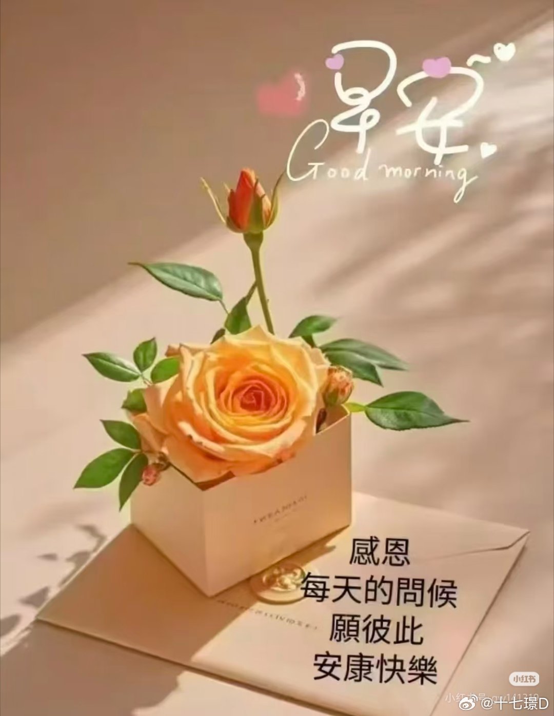 早安🌿ᵕ̈ ₊𝒢ᴏᴏᴅ ᴍᴏɴᴅᴀʏ🌿💗携一份温柔迎接晨光，揣一份明朗奔