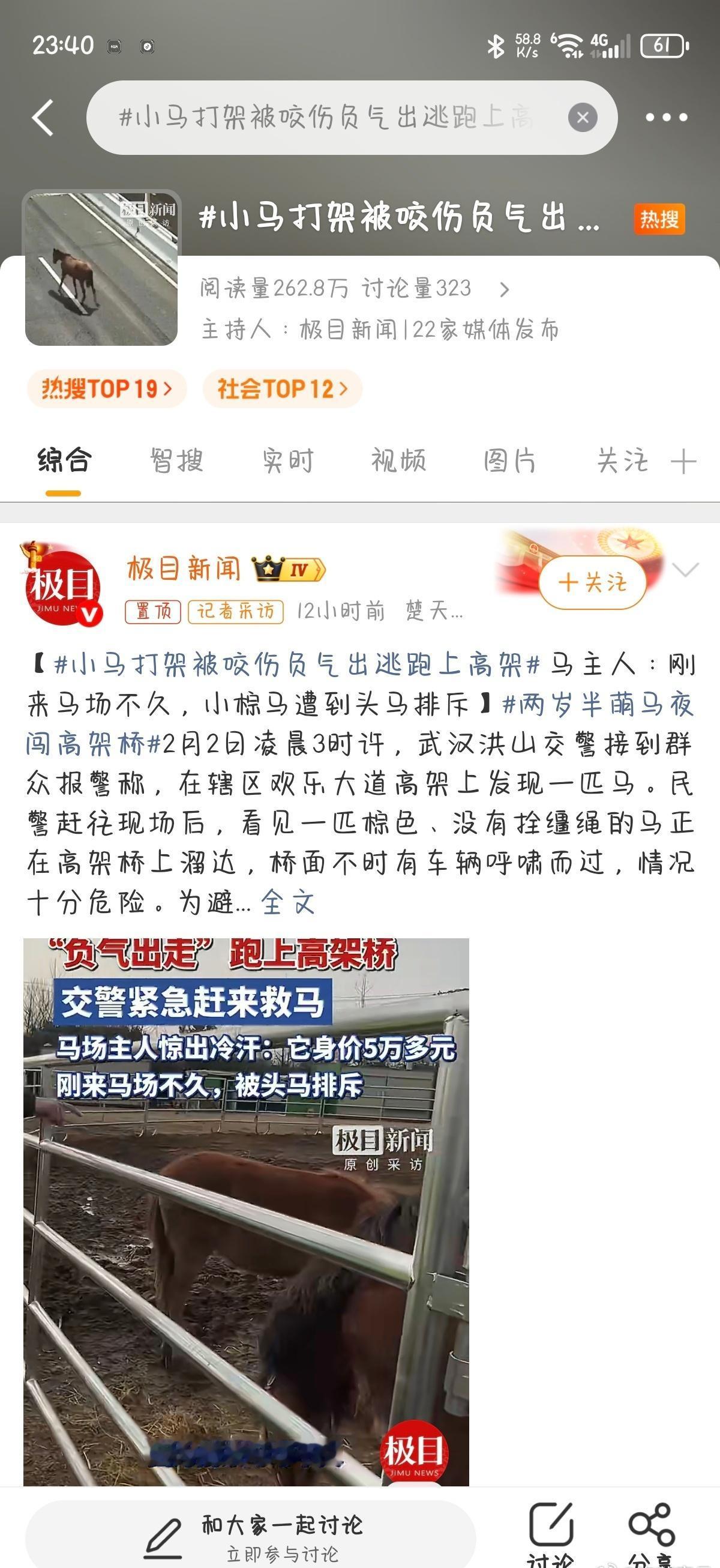 一匹价值5万多元的两岁半小马幼驹，因在马场被头马欺负咬伤后“负气”出走，竟在凌晨