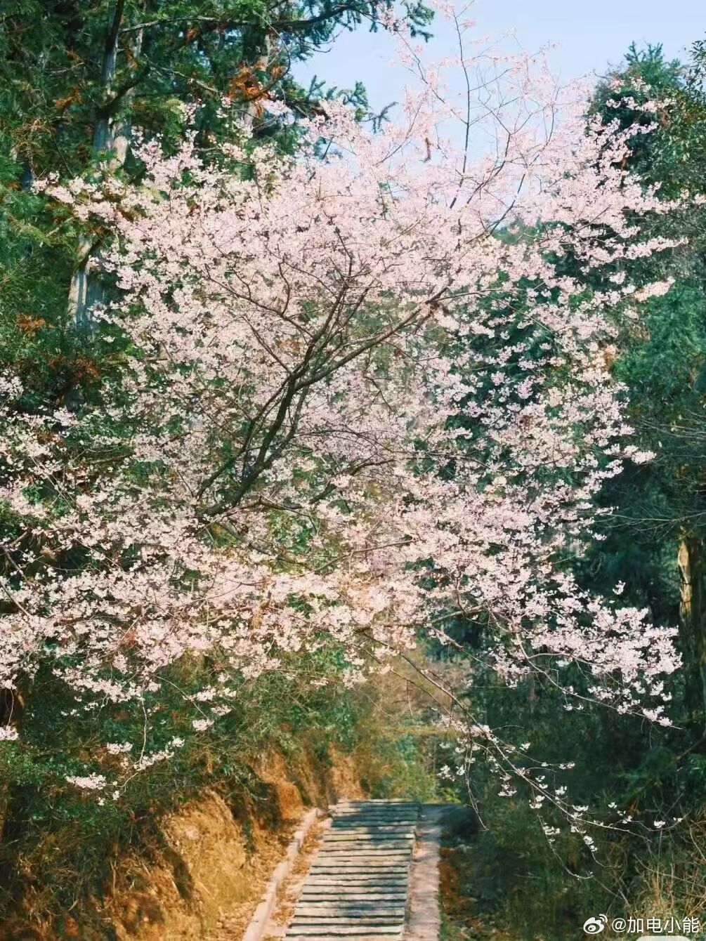 周末到啦！南昌的车友们看过来，推荐两条自驾游宝藏路线~小能周末漫游计划1️⃣【南