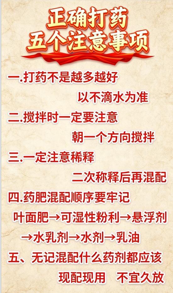 药打了没效果，还烧叶子？打药最常犯的4个错！
你是不是也这样：明明打了药，虫子没