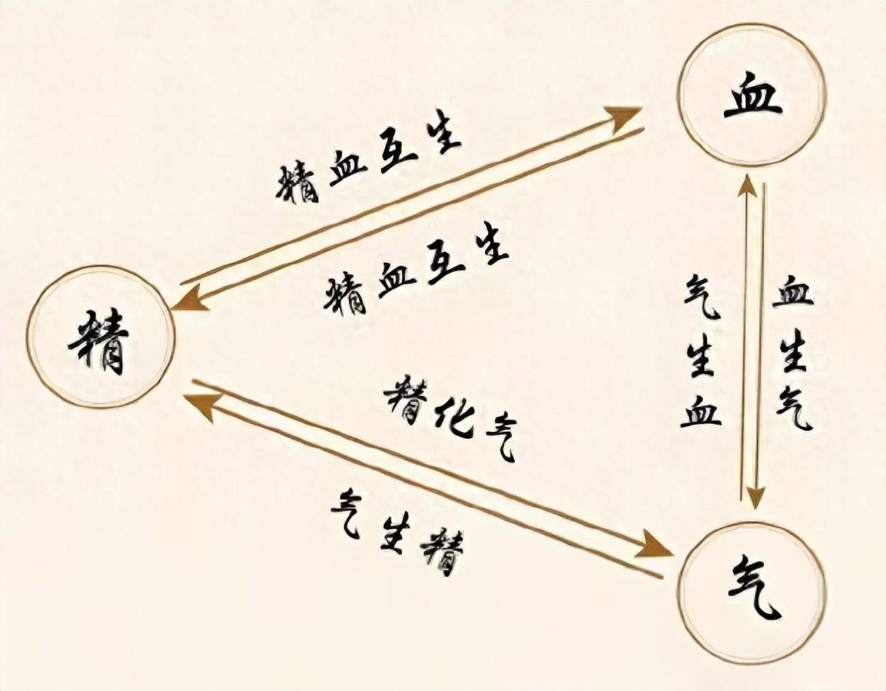精血才是人身大药！一招补血生精、强肝固肾，精力从头涨到脚
我是陈大夫，先放硬核安