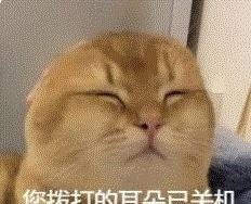 算了吧
我的在看拿不出手
要被朋友看到了那老脸真没了
我目前是红果的忠实粉丝哈哈