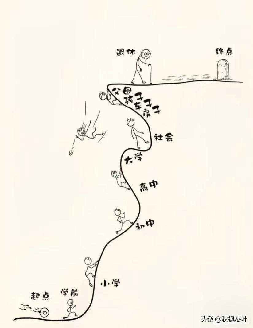这大概就是普通人的一生吧