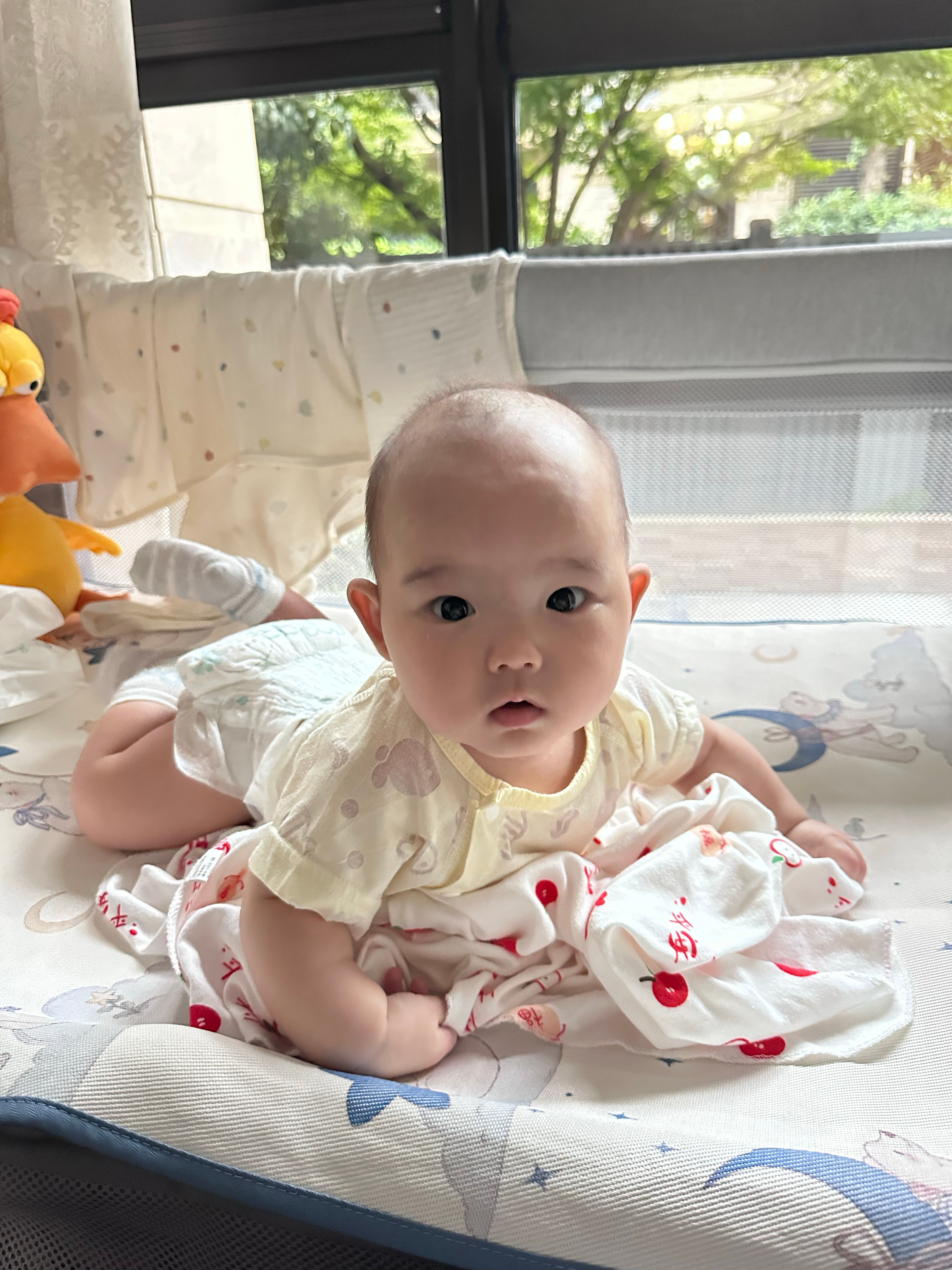 我们最乖的安宝 姑姑亲[期待] ​​​