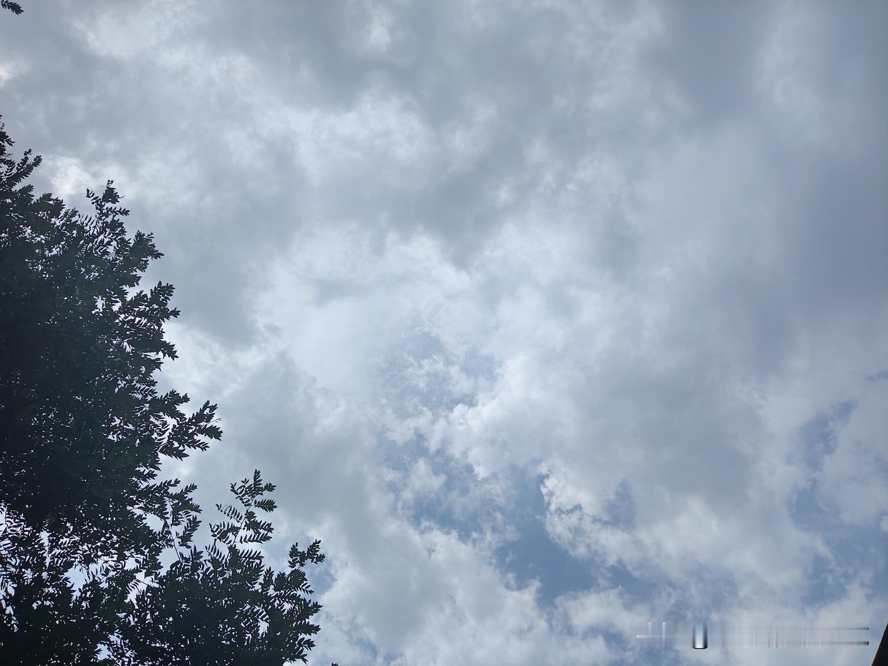 又是崭新的一天
一天好心情
读书
不可断