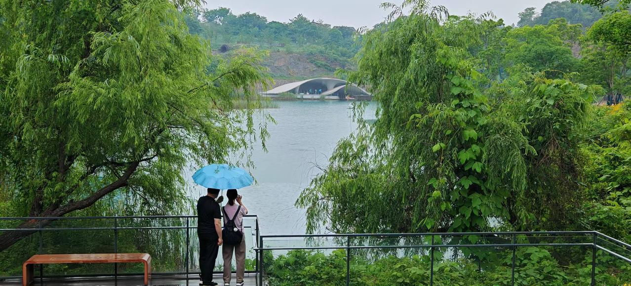 随手拍下初夏美景雨天的湖边，柳树依依，水波轻晃。平凡日子里的小惬意，随手一拍就是