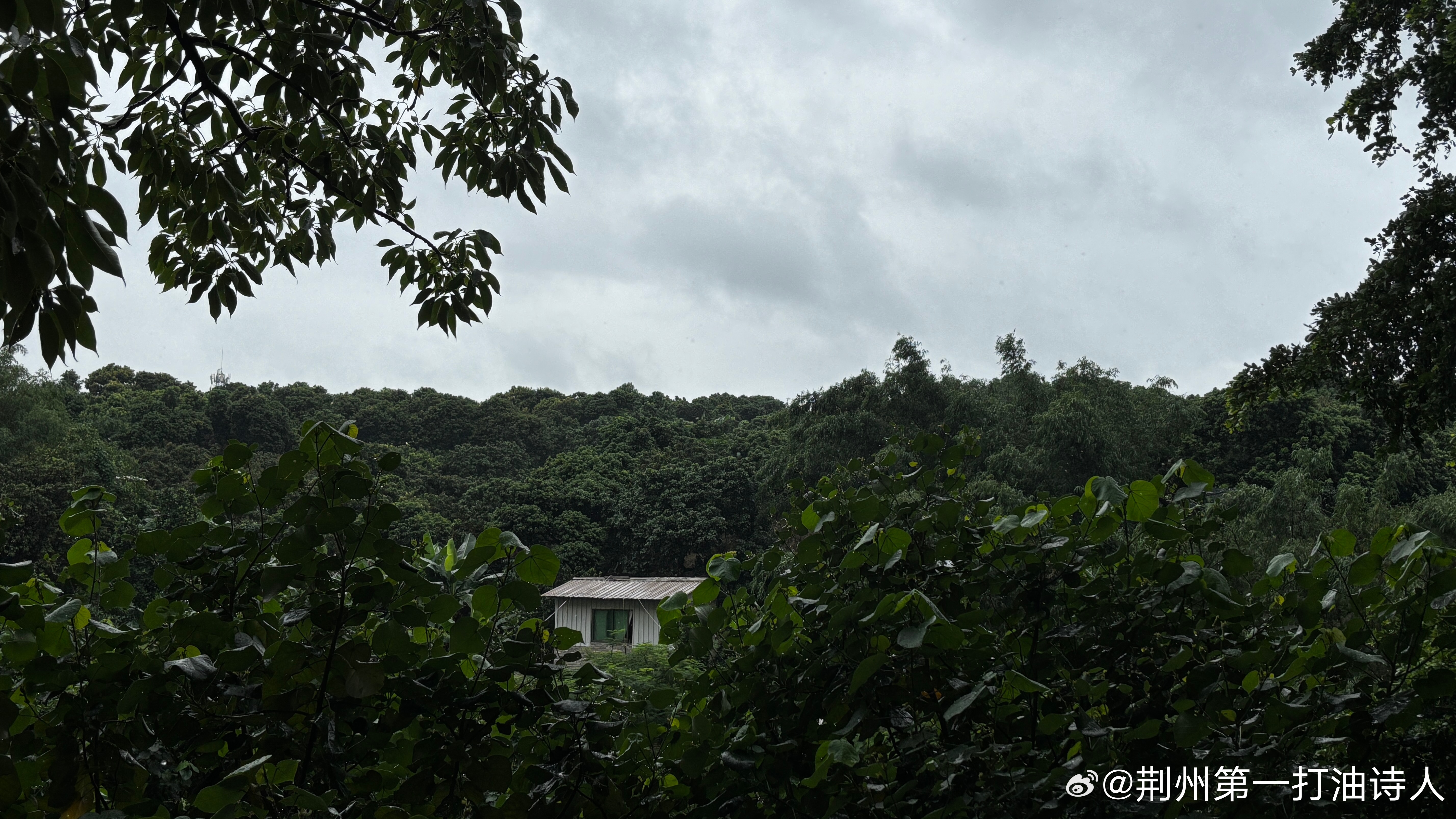 投胎已然是豪赌，奈何开局已定输。且喜桌上凭手气，抓得烂牌聊胜无。        