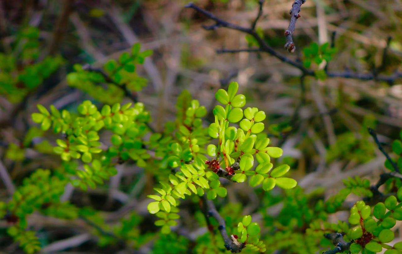 Nice ｡˚𓆛
男欢女爱，爱​，奔赴要值得。放弃要利落
​坚持自我，果敢前行
