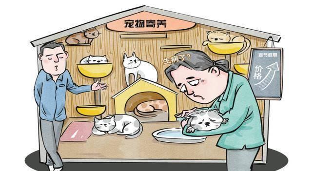 《春节寄养变“噩梦”？记者调查：宠物健康受损，谁来为“毛孩子”的安全买单？》
