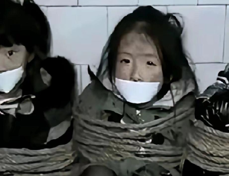 严惩民生恶性犯罪：法治与治理的平衡之道
 
药品安全、食品安全与妇女儿童权益，是