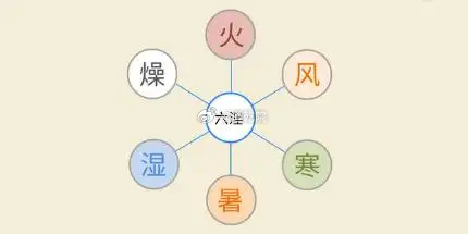 中医治病看“六气” ，特别强调因地因人制宜！但凡人体致病，总是因为外邪的侵袭或者