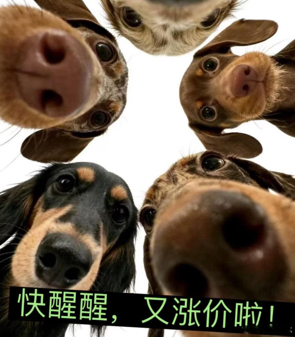 多款手机正式涨价，内存涨价……真是应了网友的那句话，工资都赶不上这些商品的涨价速
