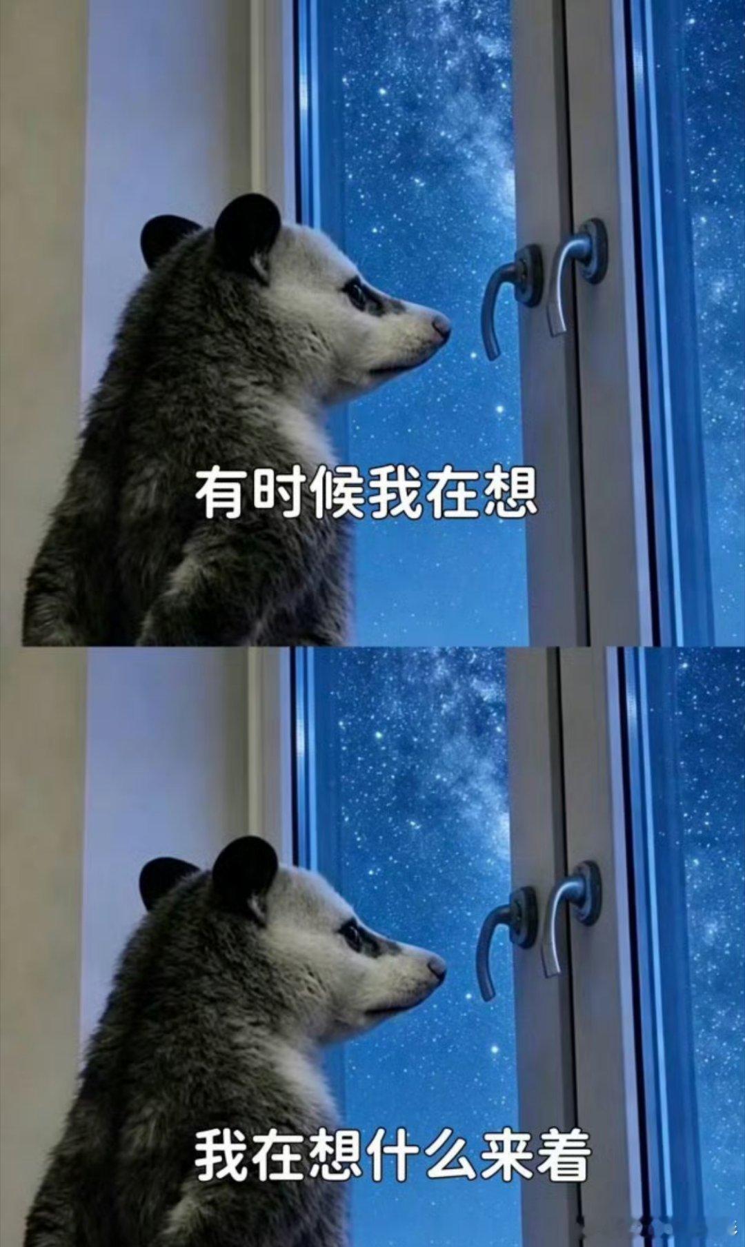 父亲节治愈系正能量 52+63就是两个特别重要的日子，你们觉得哪个更重要？52：