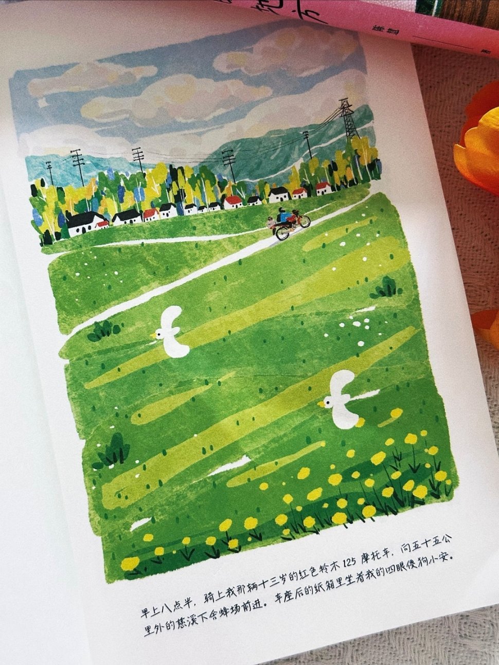 我今年读过最美的一本书，没有之一！！ 