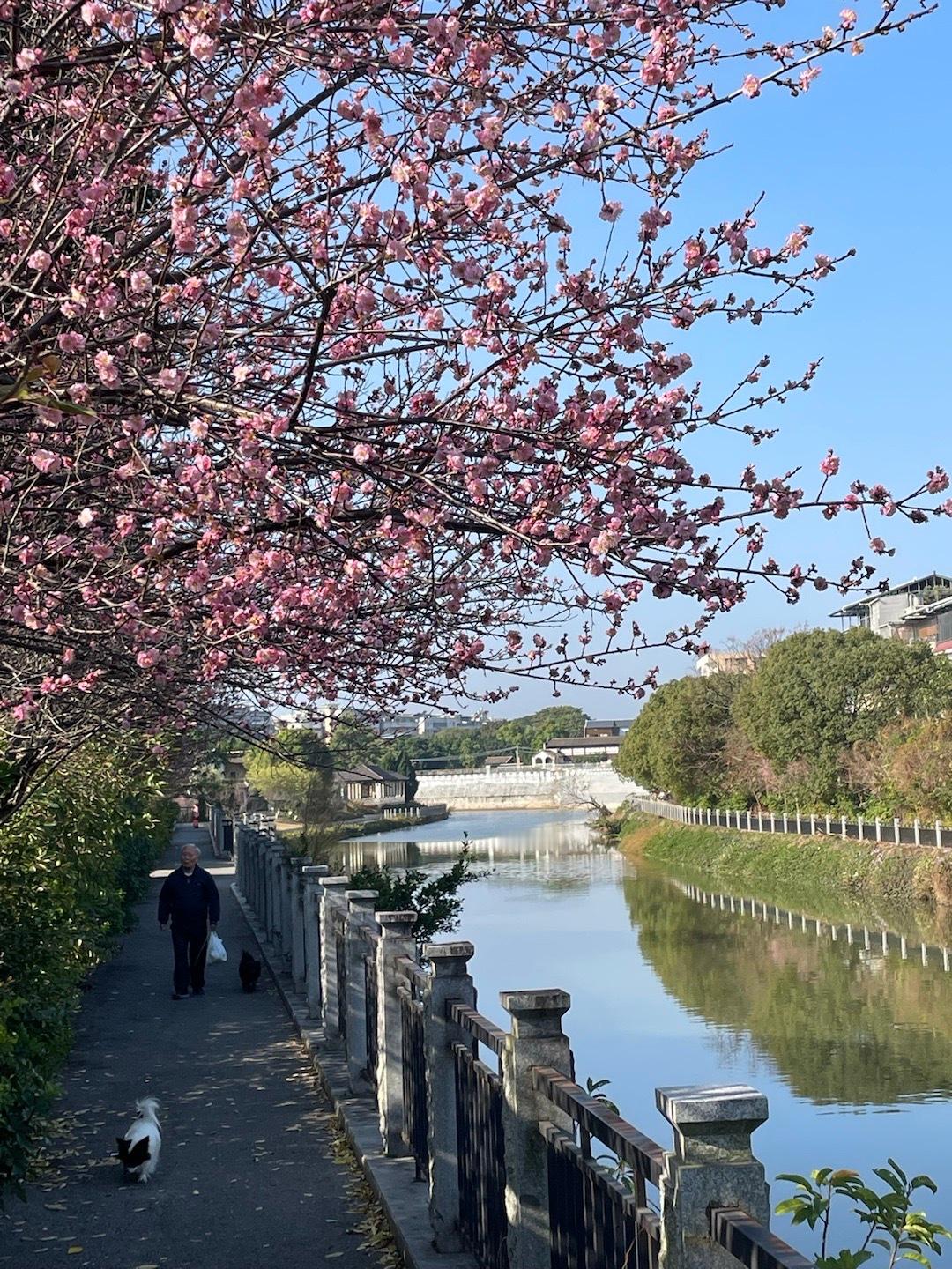 上午逛了街回来，老刘搞定贴对联的任务，就带着大刘回他中学去看村里举办的足球赛了。