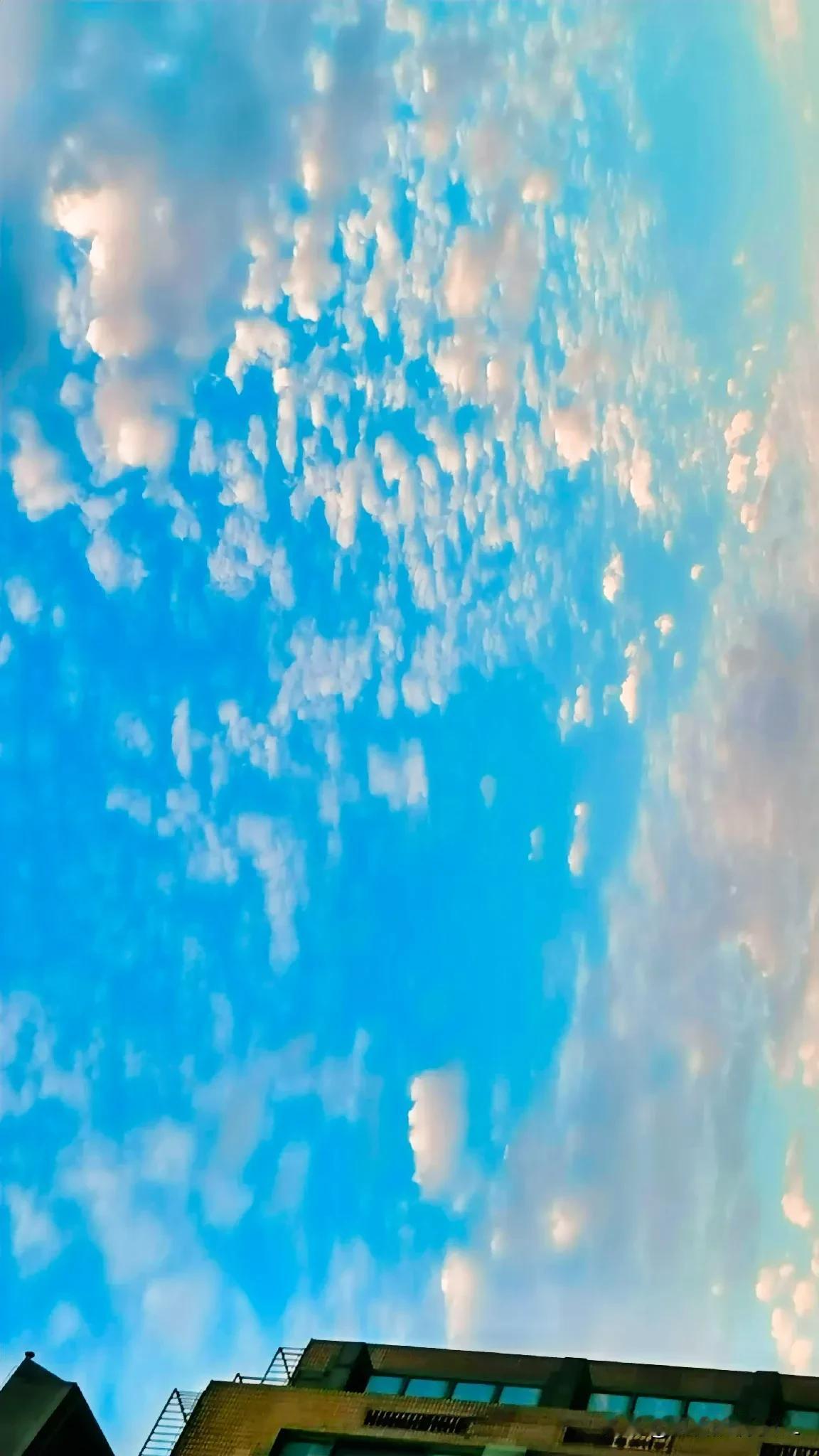 一一朝霞满天

一一鱼鳞云布满天空

一一【原创摄影】

#中国摄影# 
#中国