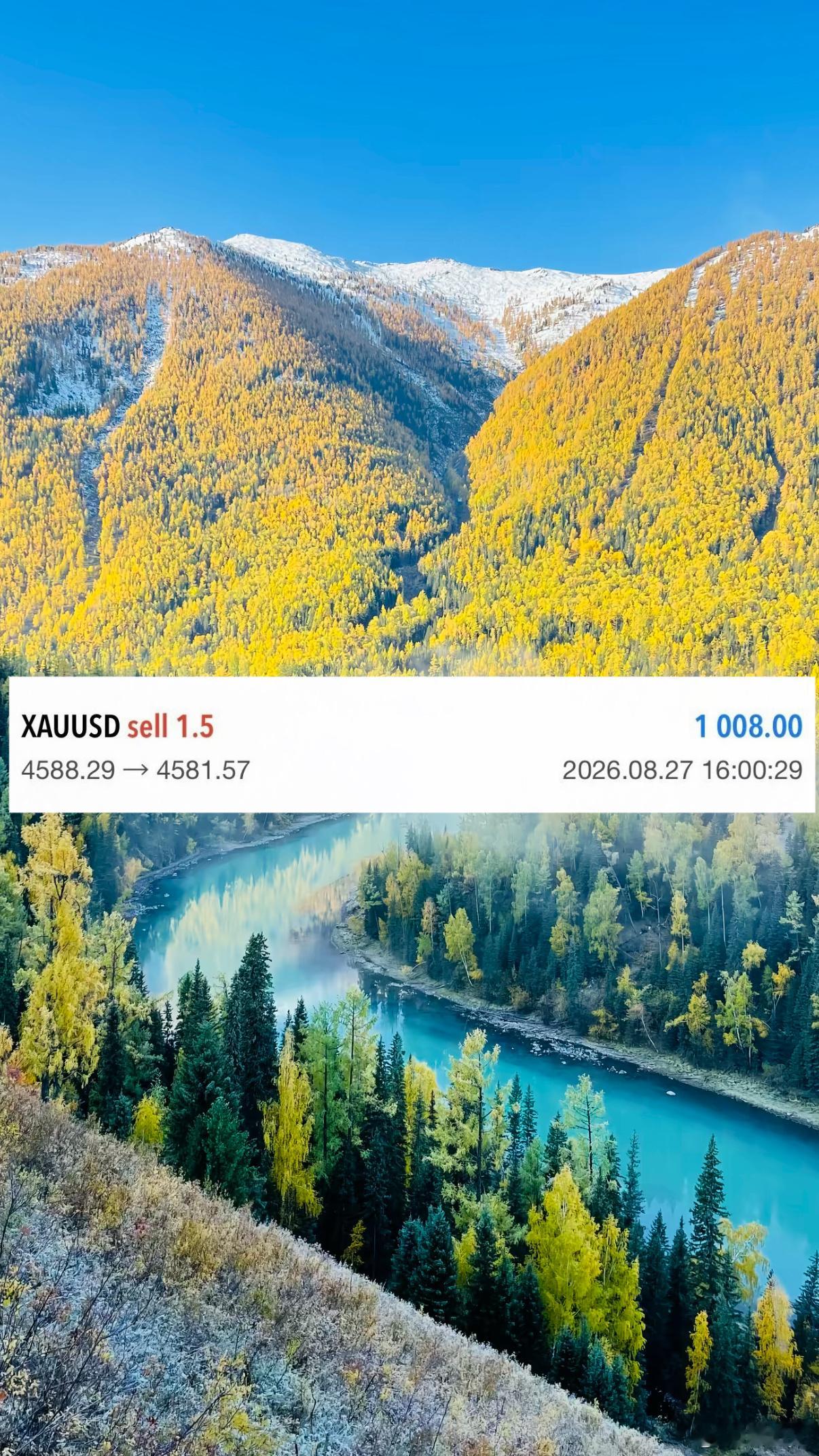 黄金[超话]郑先生日内番苍第三弹箜丹布局小抓一波7典！1008u！！黄金外汇[超