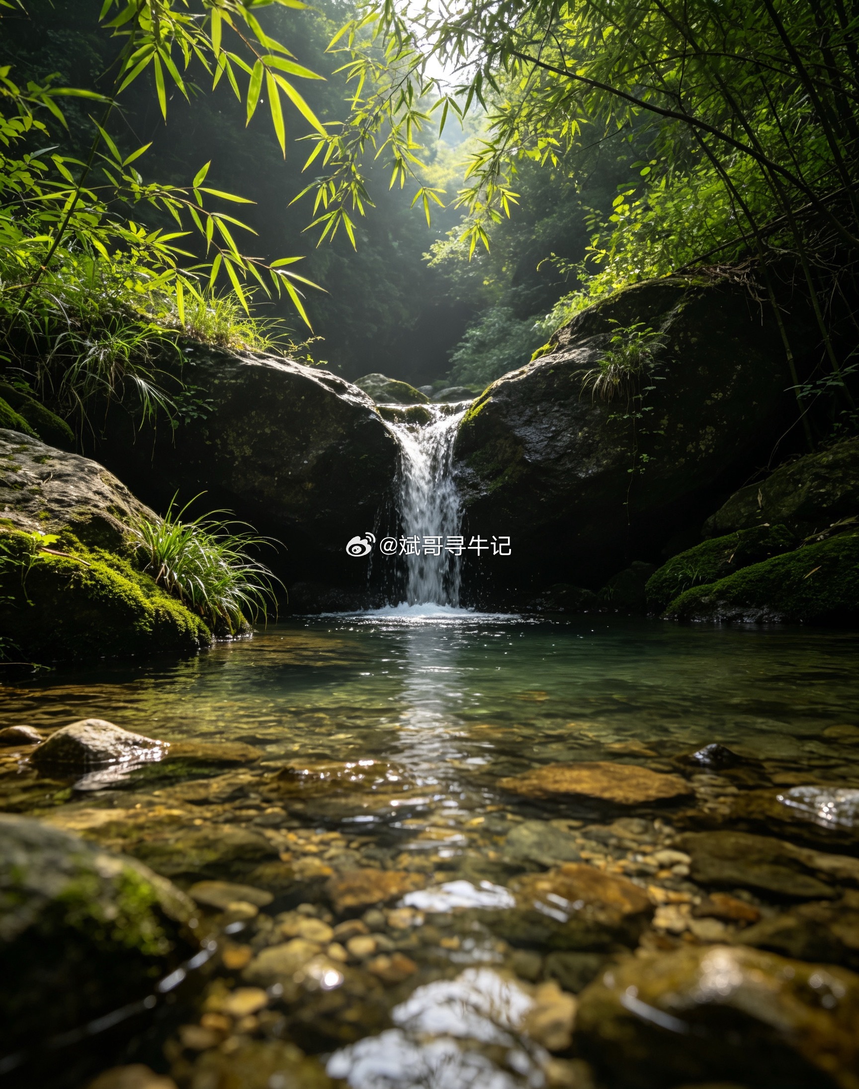行情如期兑现！昨日只走出小阳线，少涨的部分今天上午补全，逻辑验证到位，但务必警惕