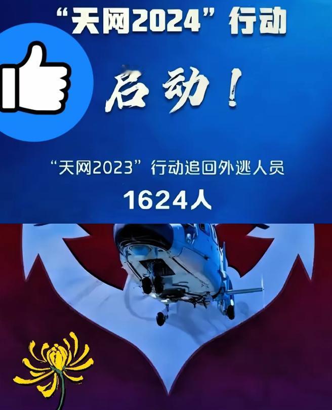 从梁锦文到周静华：十年天网行动收网14000人，外逃贪官终将回国自首，赃款666