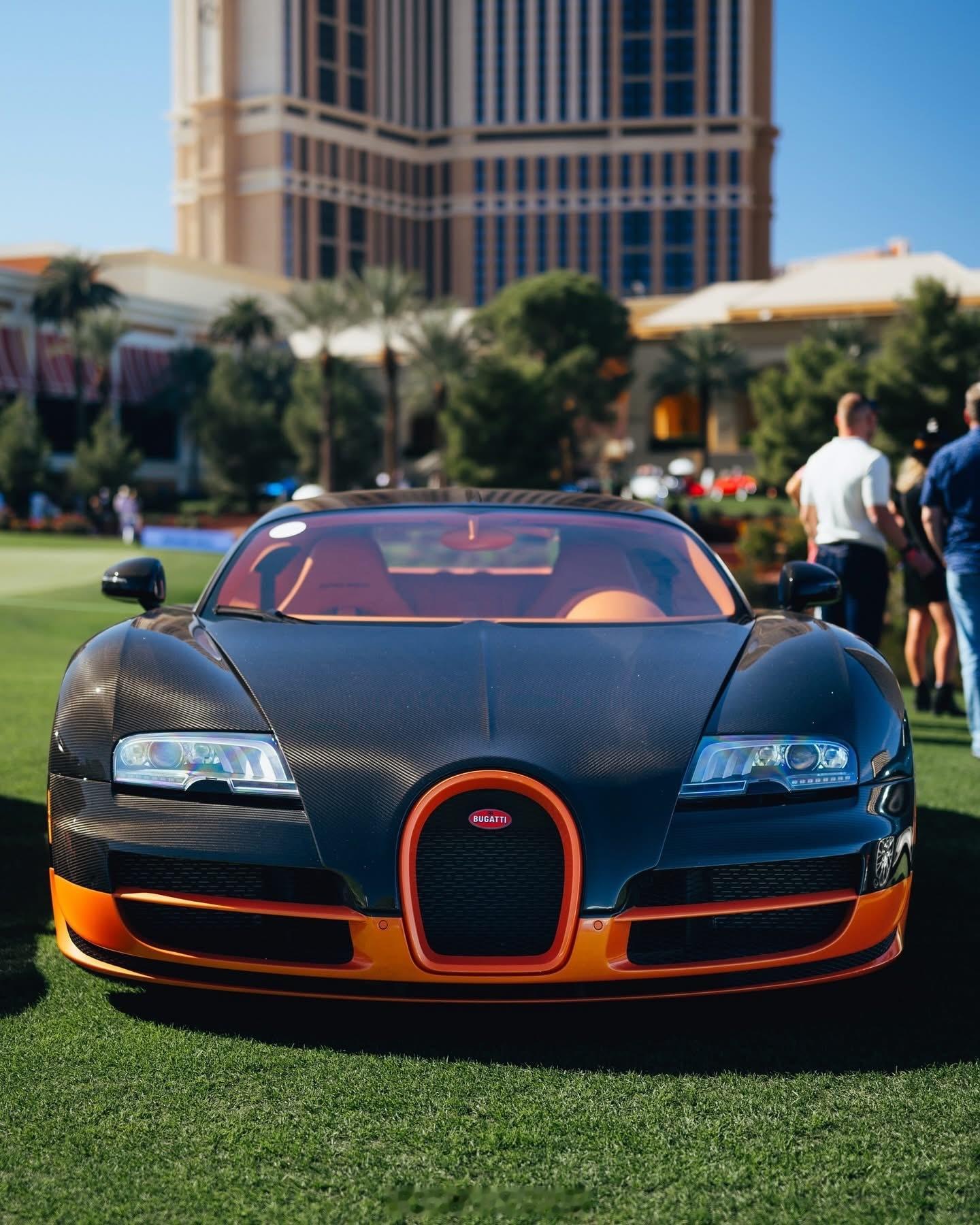 布加迪肥龙聚会🐲🐲🐲哪台配色最好看？ 