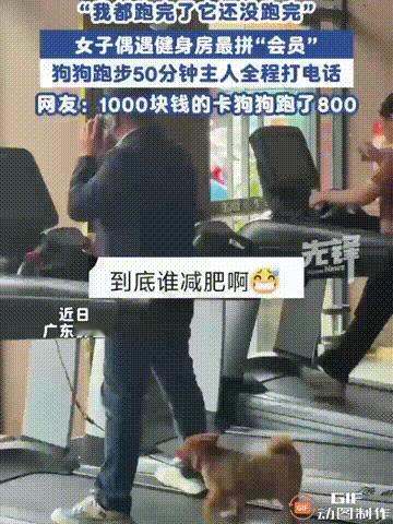 广东佛山一名女子到一家健身房锻炼时，看见了非常有趣的一幕，只见一位主人带着小狗来