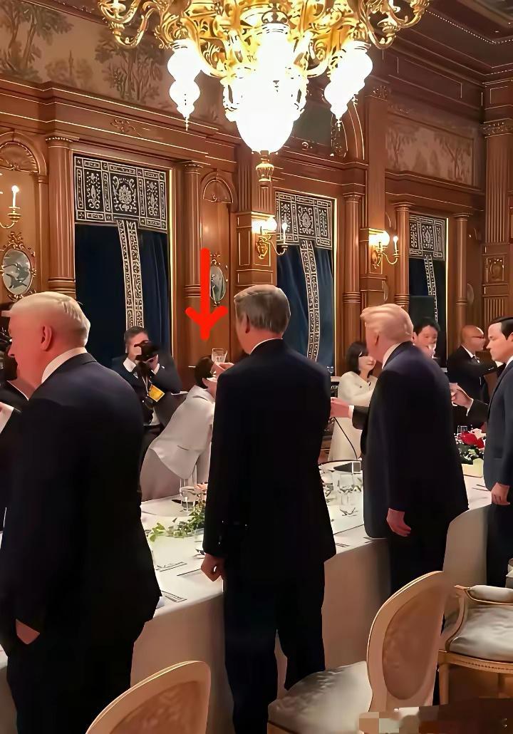 她努力向前敬酒、碰杯的样子，小弟无疑 ​​​