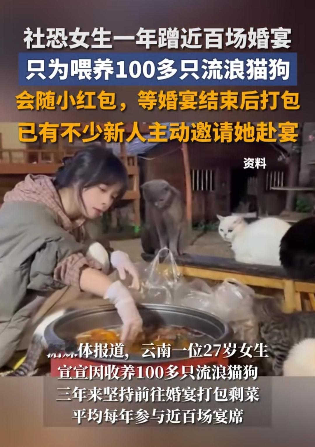 云南27岁社恐女生宣宣，三年蹭近百场婚宴，不图热闹不贪嘴，只为给120只流浪猫狗
