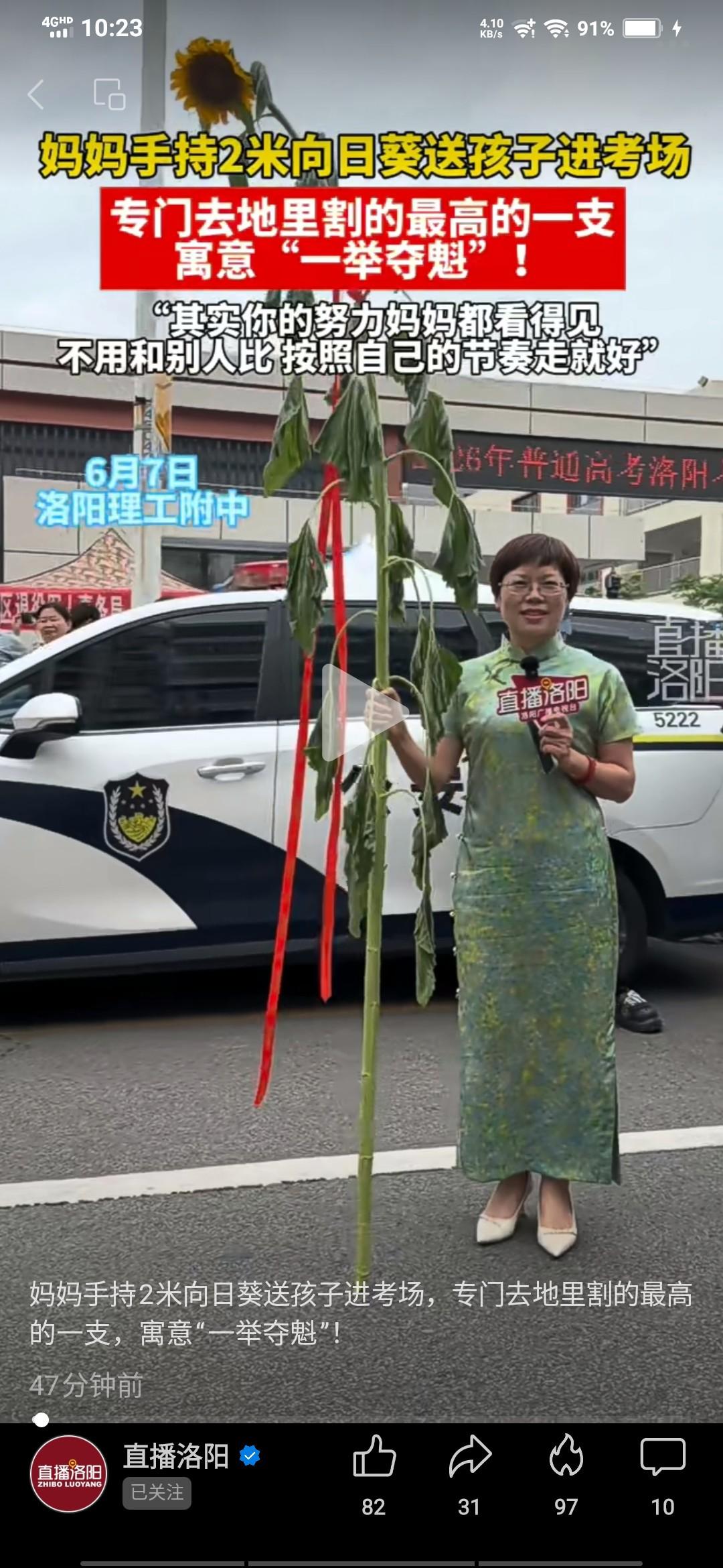 洛阳一名考生家长手持2米高的向日葵🌻送孩子进考场，只能说可怜天下父母心。家长的