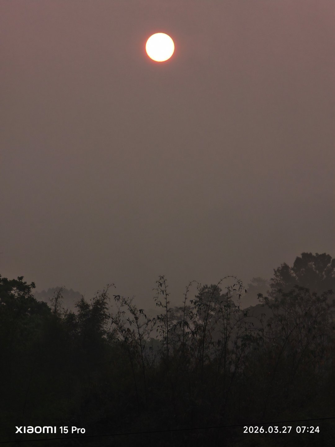 春雾还没散尽，把天地都晕成一片温柔的灰粉。太阳悬在半空，像一枚被磨得温润的蜜蜡珠
