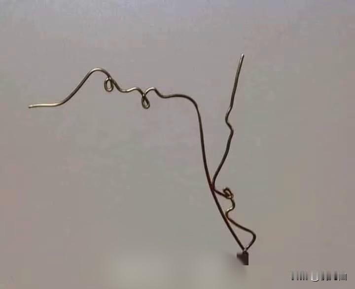 你看到了什么？
乍一看，
居然
看到了男欢女爱！
仔细看，
原来是一根不正经的铁