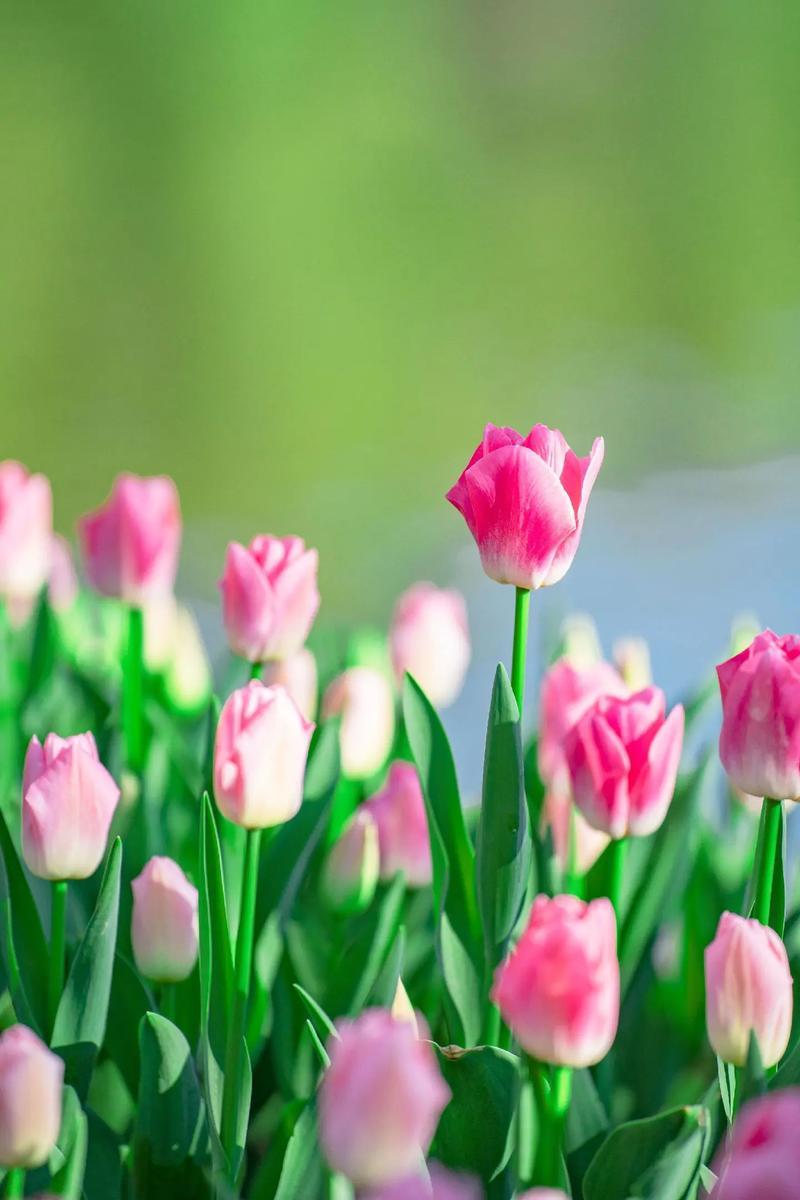 实话说，
过得好的中年女人在这几件事上不会太勤快！

一、不再频繁社交。
她们不