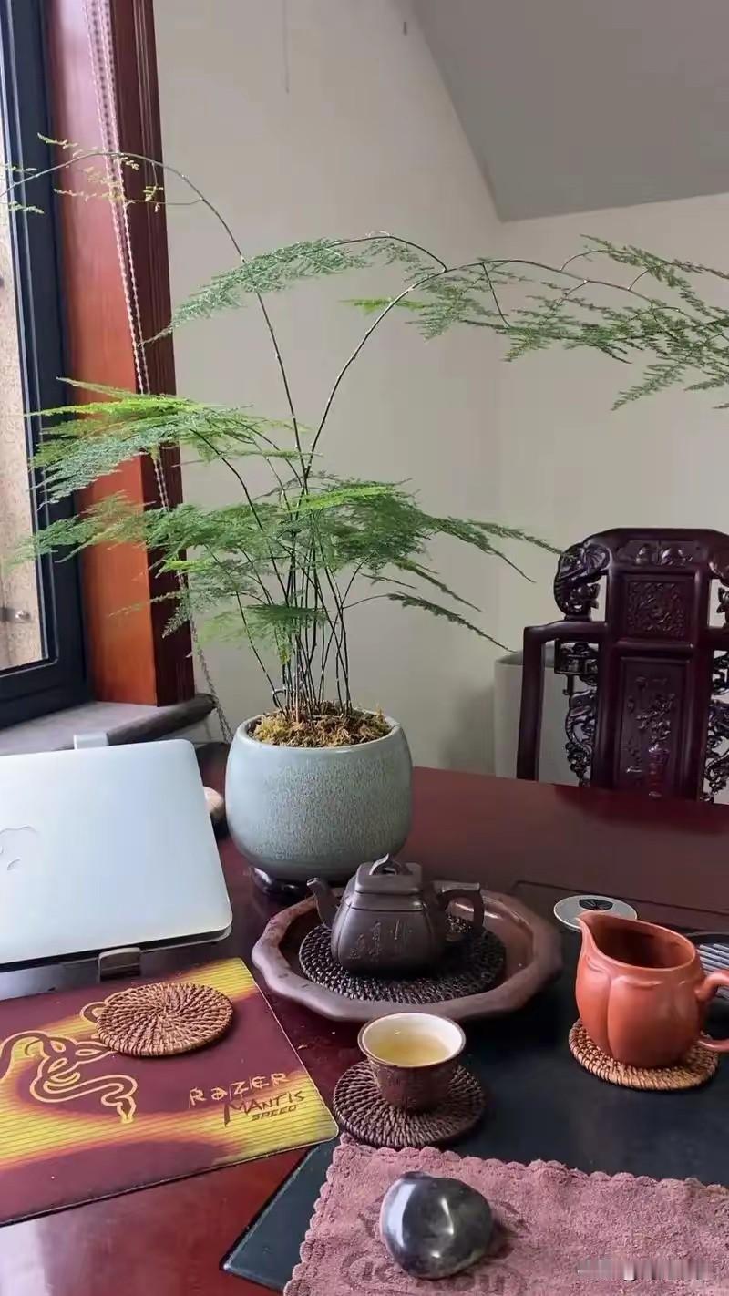 人生旅途，哪能事事如意，百事顺遂皆欢喜；人活一世，哪能样样尽心。很多事情，淡然才