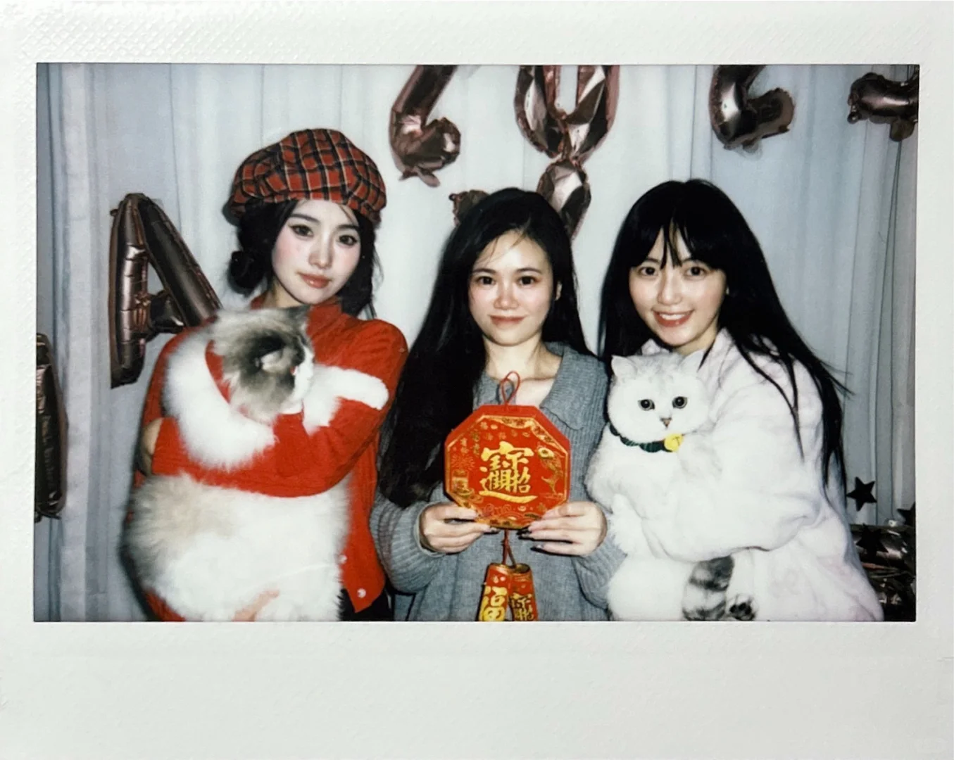 摸摸猫猫头，一年顺到头🐱