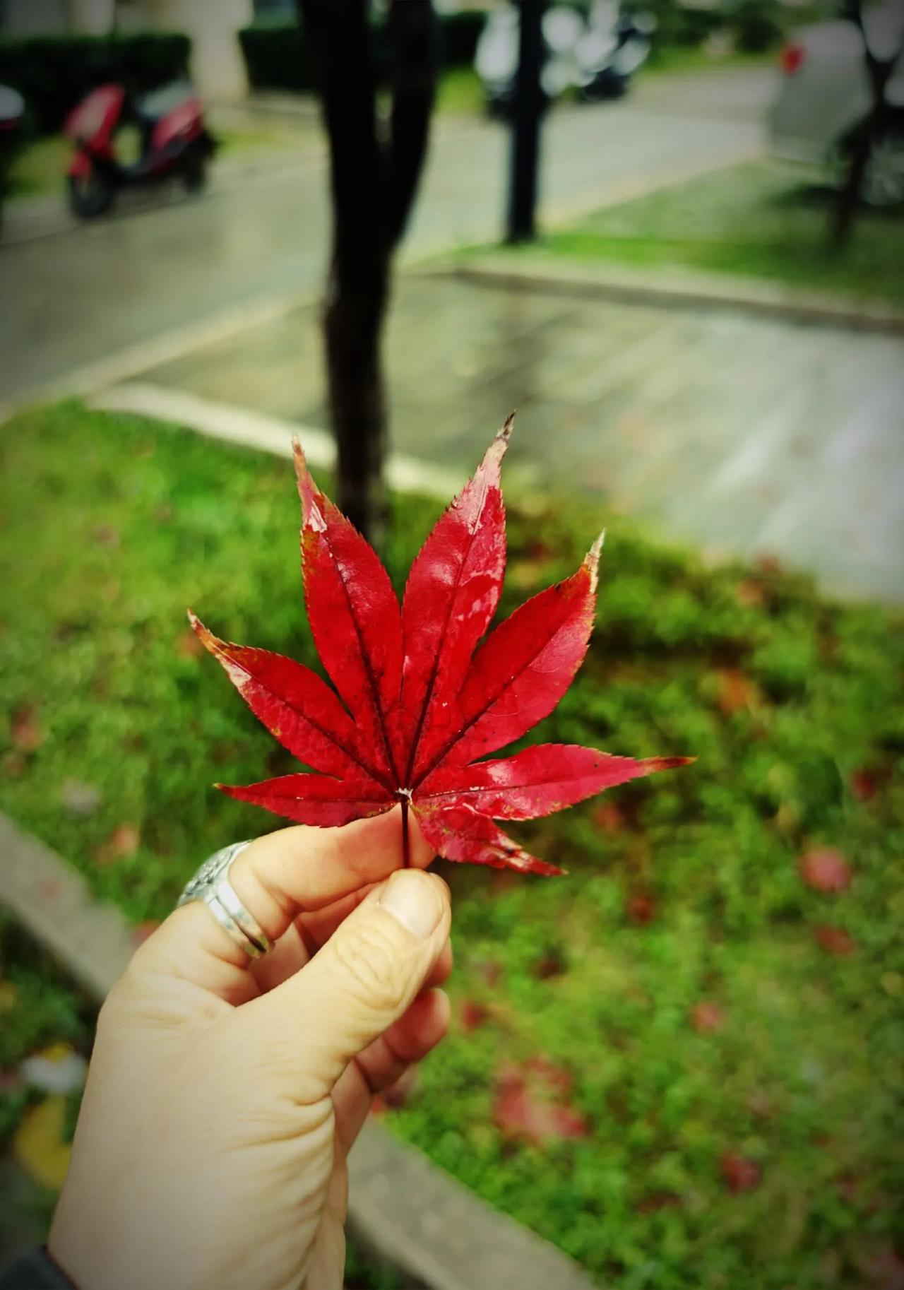 中年女人，不要陶醉于扮演热心大姐角色，把帮助别人当做己任。
      有没有发