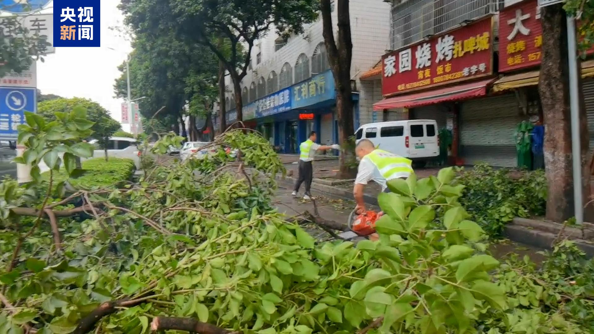 广西贺州出现暴雨冰雹天气 树木被折断车辆受损