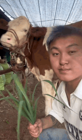 什么叫经济停滞？就是大多数人不管怎么努力，都赚不到钱。什么叫经济衰退？就是大多数