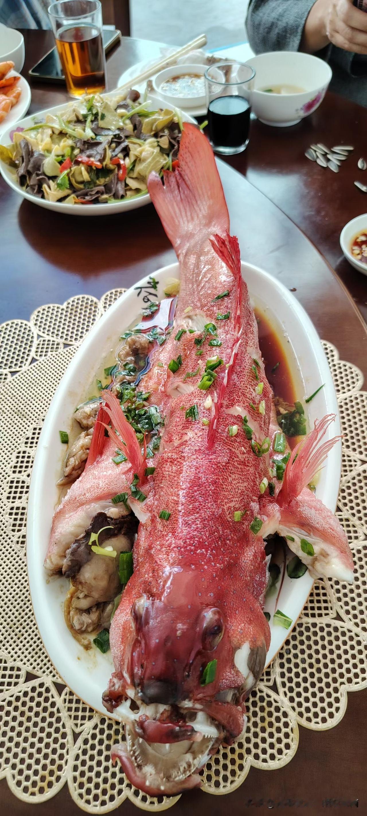 四斤多的东星斑，​蒸得恰到好处，​满口生香，为浓浓的年味增加色彩！东星斑烹饪方法