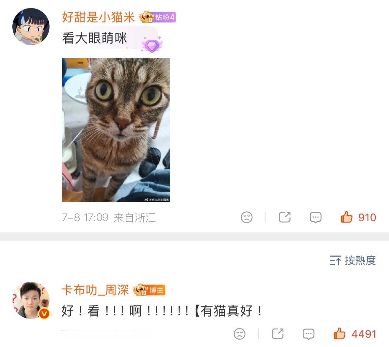 我有貓了