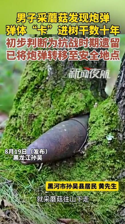 “太吓人了！”近日，黑龙江黑河，一男子上山采蘑菇时，看到树上卡了个东西，他好奇的