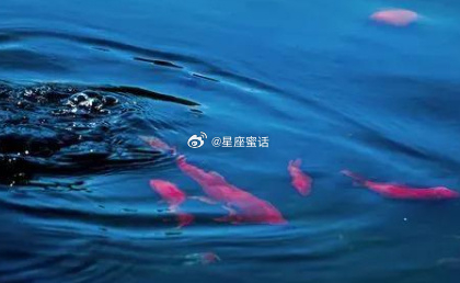 十二星座点赞转发，从今天起所有心愿都会成真射手座：大把财运找上门摩羯座：生活万事