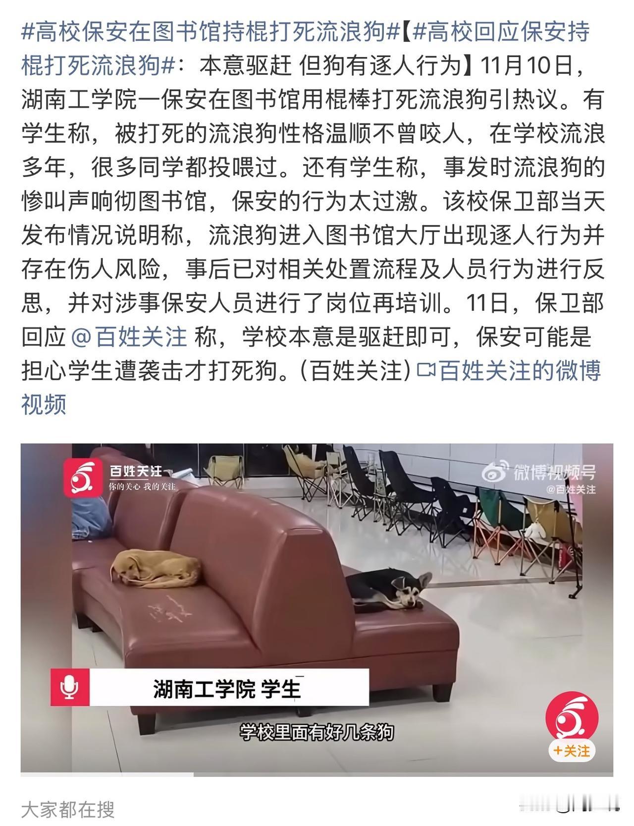 #MCN双量进阶计划#高校保安图书馆持棍打流浪狗！学生怒斥：它温顺多年，惨叫声太