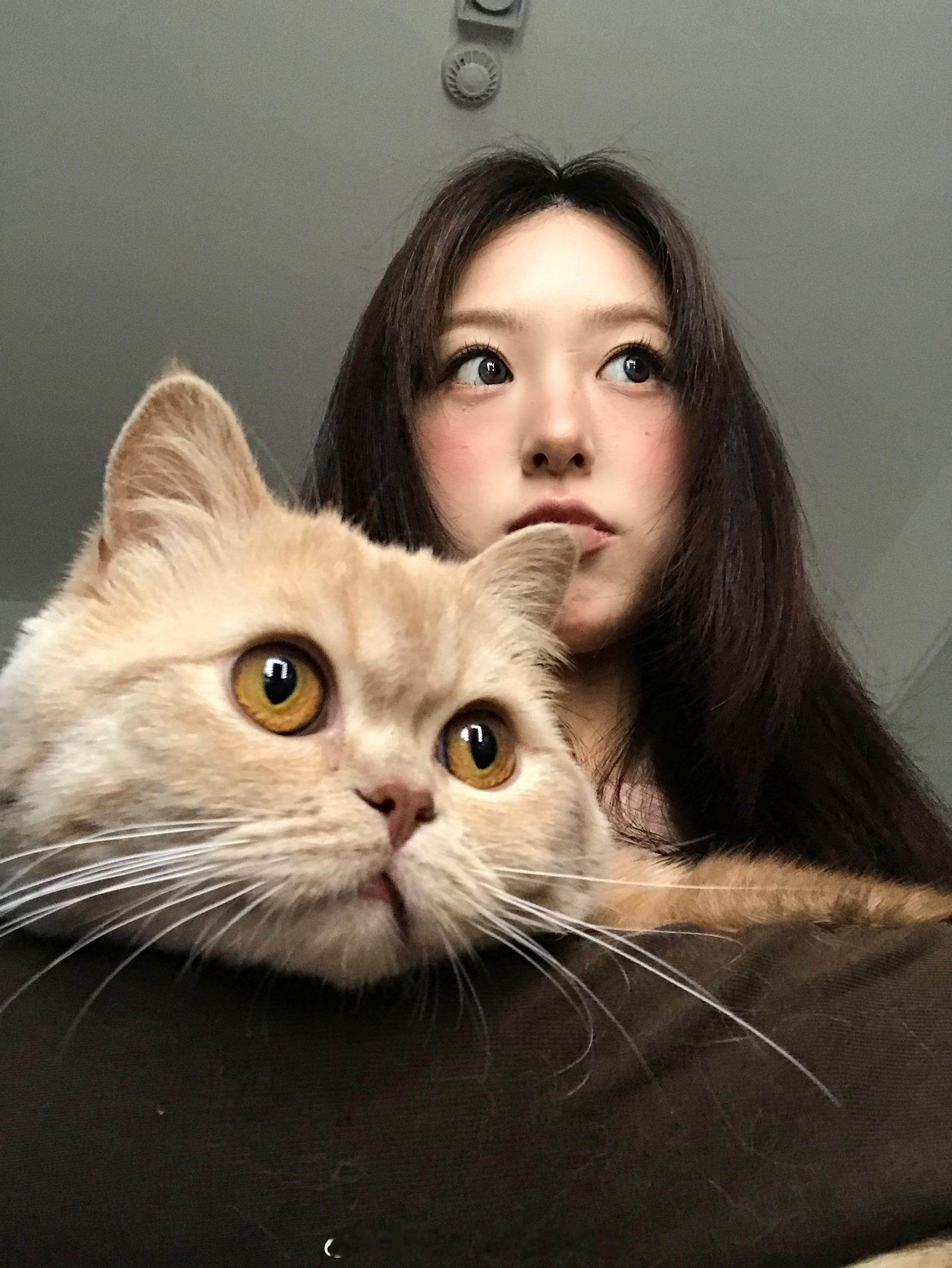 🐱小屁萨就是我生的[嘻嘻][嘻嘻]🏆谢谢王者荣耀送我一把顶级中路 开心死我了