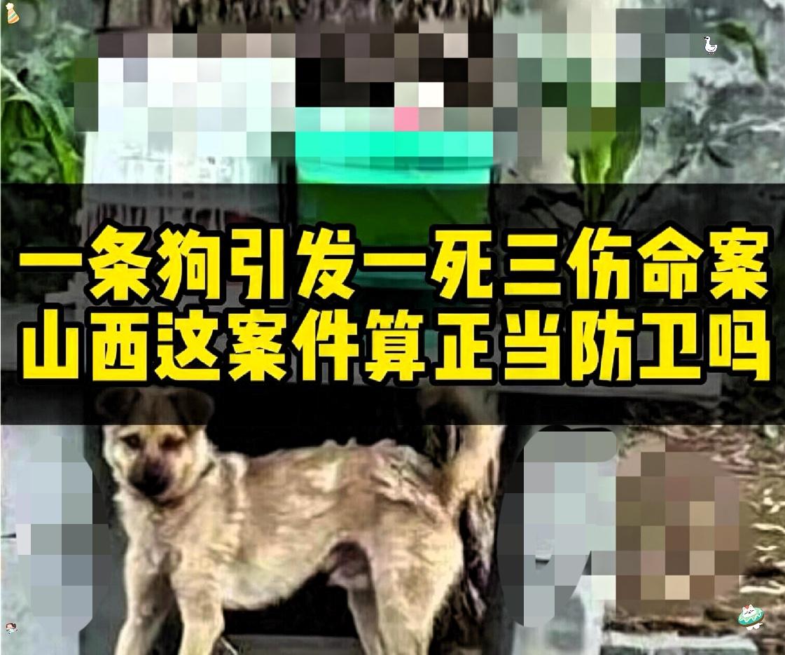 山西长治狗咬人反杀案，
我觉得死的最冤的应该是郭某刚，
你说他的老婆会不会改嫁。