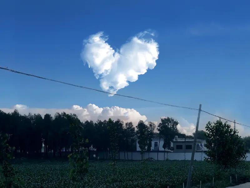 你要自在
不必讨好
放下
纷纷扰扰
守住
心之所好
穿过迷雾
步步登高
心怀热爱