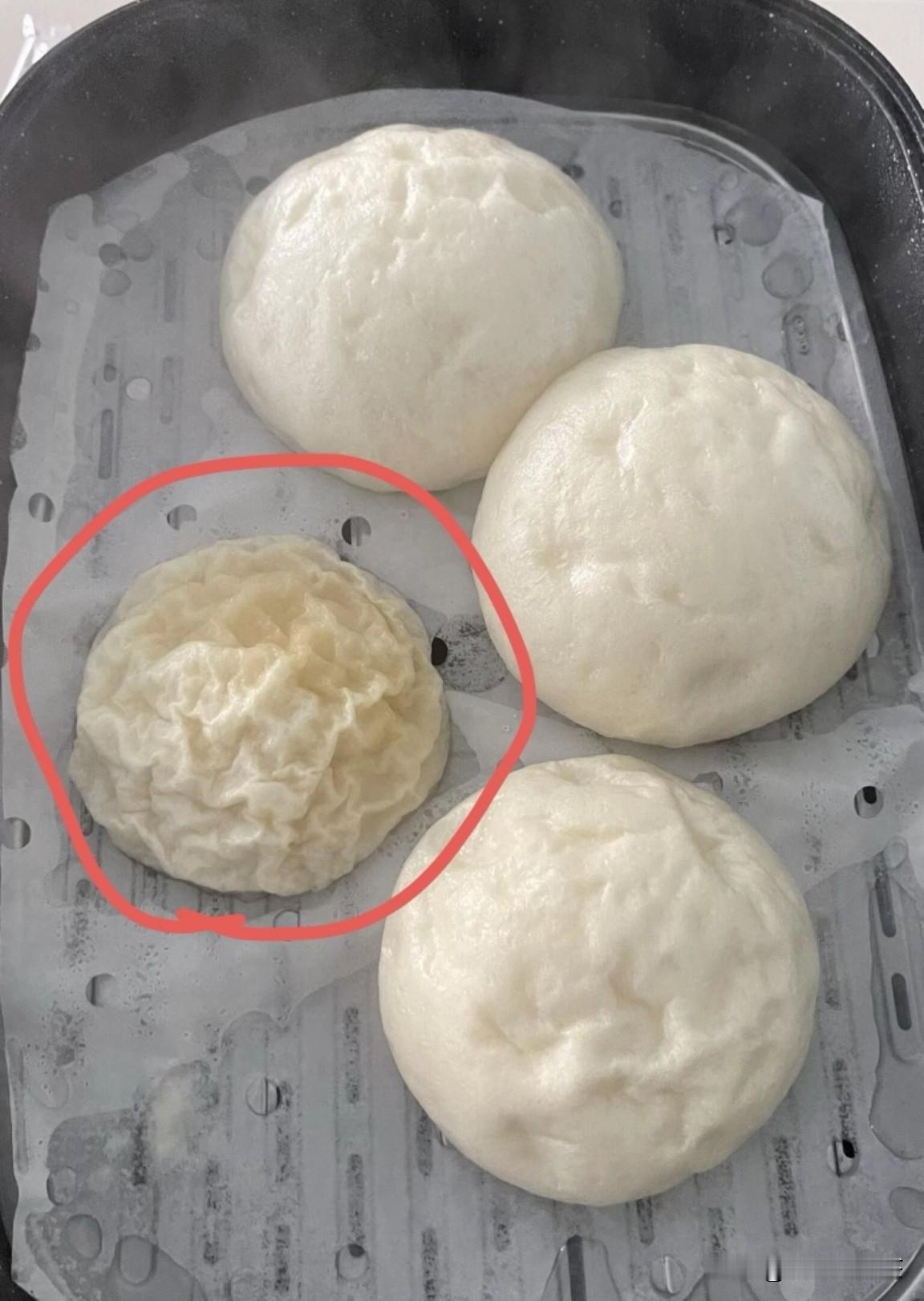 都是同胞兄弟，为什么有一个嘎了？