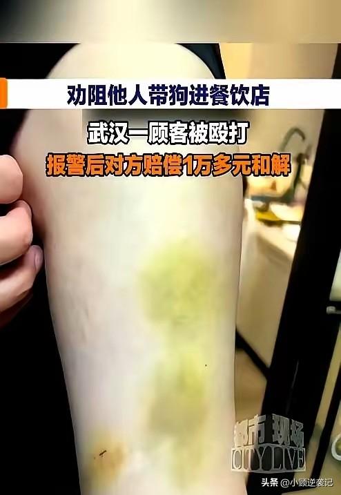 武汉一家“余伯鸭新农牛骨头”店内发生冲突。一女子带狗入店，店员提醒不让带入，女子
