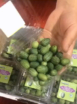 原谅我没见过世面
这到底是啥？