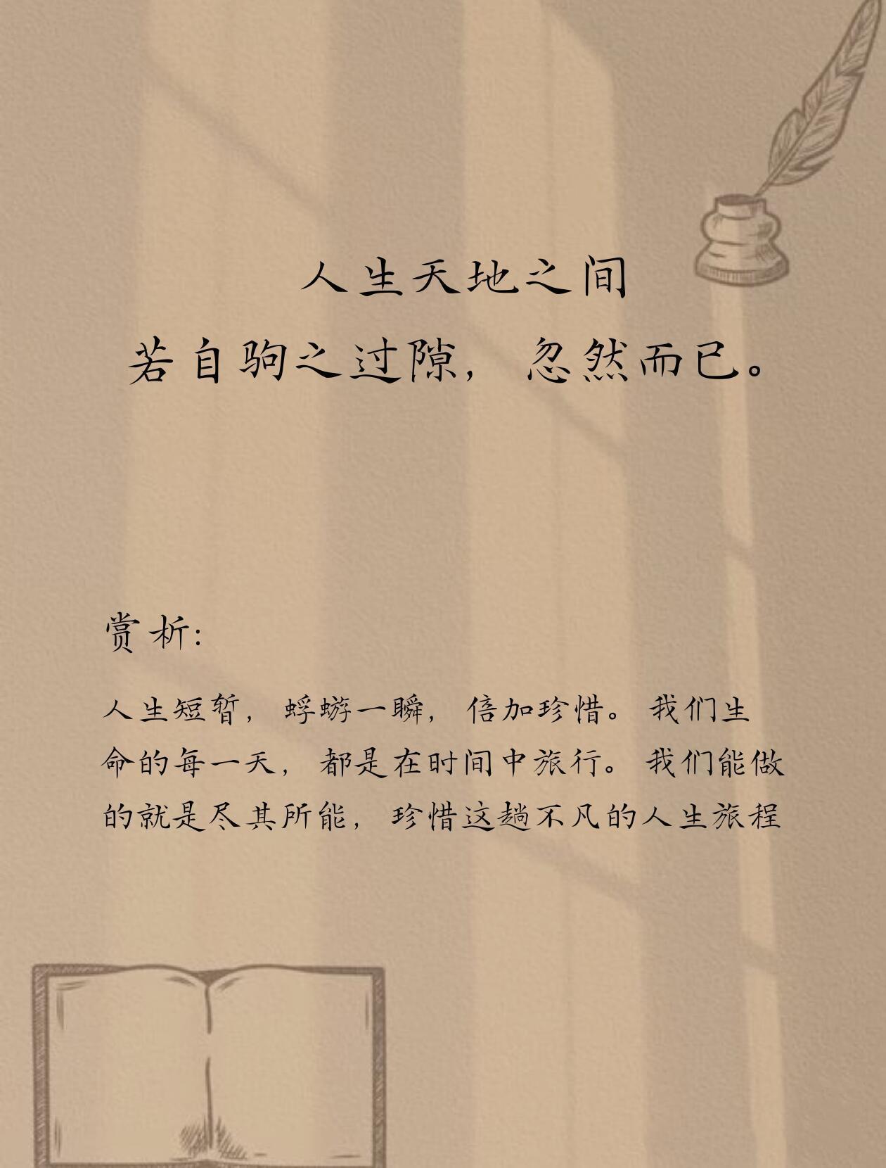 庄子的十句话，越早读越好 